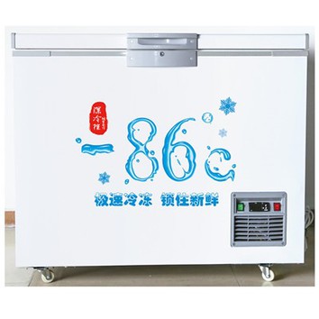 Контейнер для сухого льда